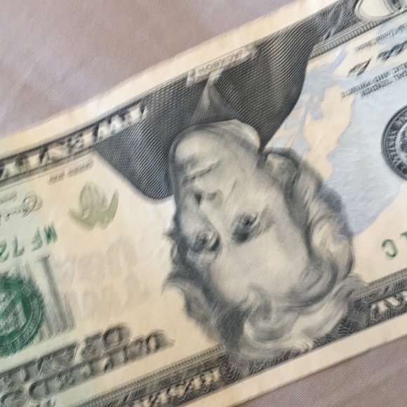 Meet your Posher, David - Picture 1 of 1